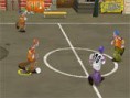 Tribo de Futebol