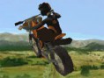 Tiger Cross